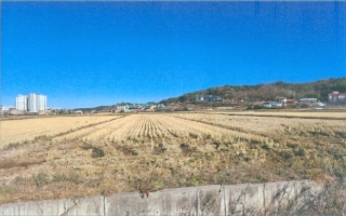 강원특별자치도 강릉시 내곡동 713 답 경매 사진 1