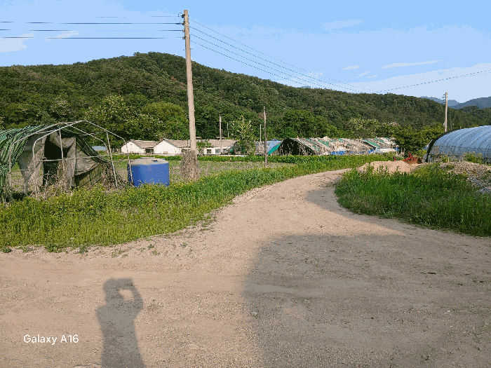 경기도 포천시 화현면 지현리 196 외 3필지 동물및식물관련시설 경매 사진 32
