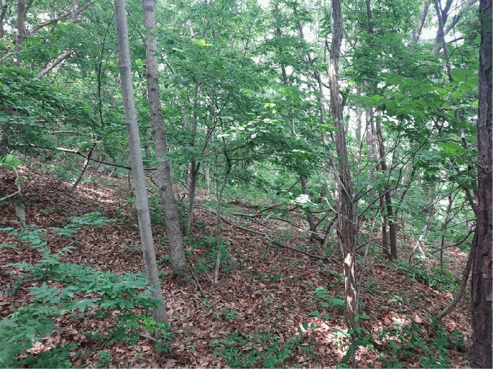 경기도 화성시 송산면 지화리 635 전 경매 사진 17