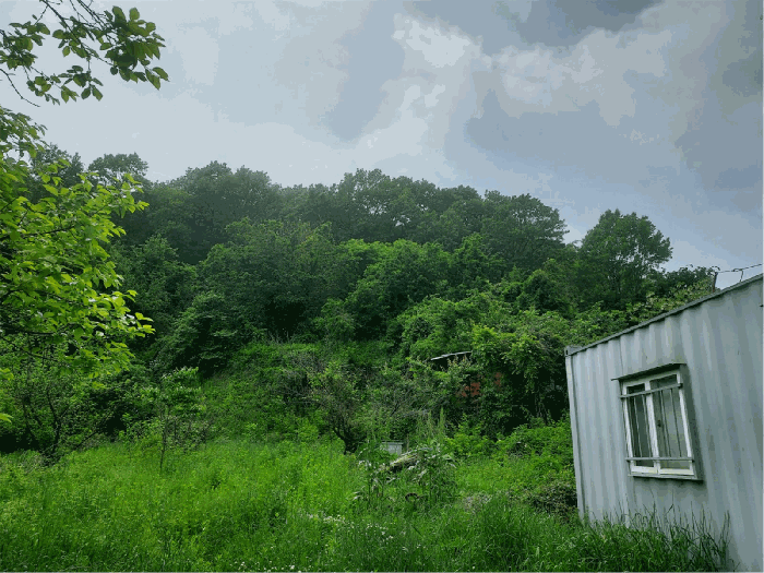 경기도 화성시 송산면 지화리 635 전 경매 사진 19