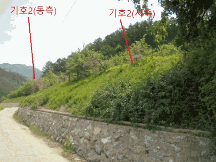 충청북도 단양군 대강면 신구리 62-1 외 1필지 전 경매 사진 20