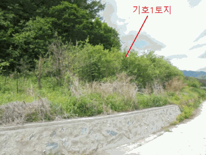 충청북도 단양군 대강면 신구리 62-1 외 1필지 전 경매 사진 21