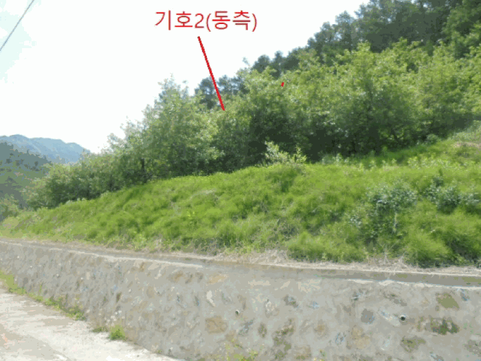 충청북도 단양군 대강면 신구리 62-1 외 1필지 전 경매 사진 22