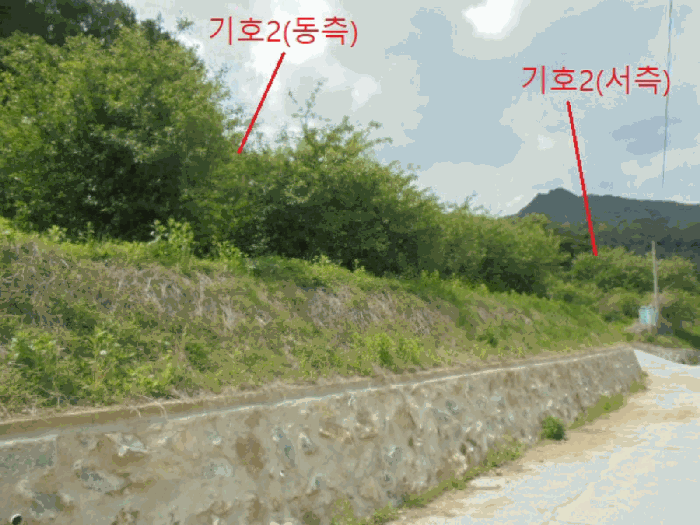 충청북도 단양군 대강면 신구리 62-1 외 1필지 전 경매 사진 23