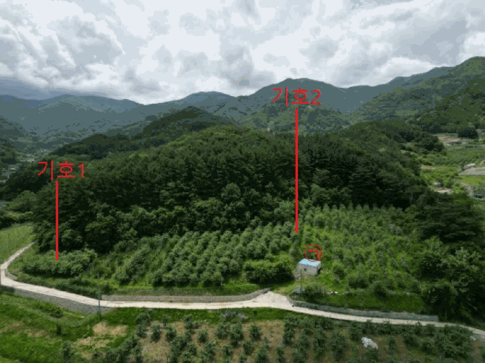 충청북도 단양군 대강면 신구리 62-1 외 1필지 전 경매 사진 29