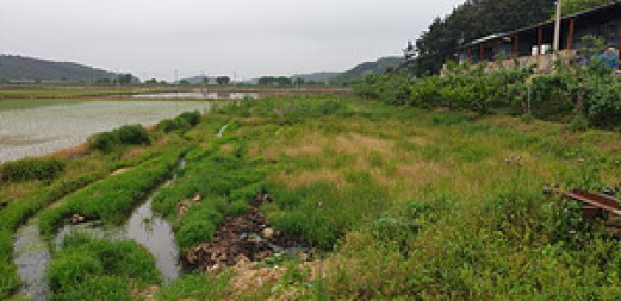 충청남도 홍성군 결성면 교항리 157-19 답 경매 사진 1