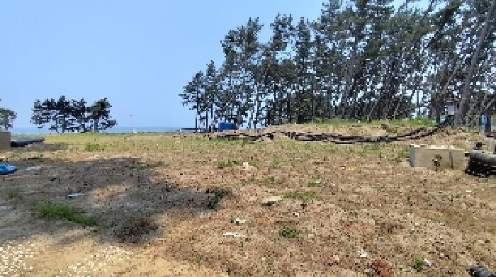 충청남도 서천군 서면 도둔리 1388 대지 경매 사진 1