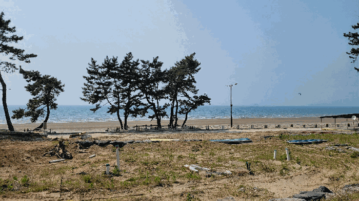 충청남도 서천군 서면 도둔리 1388 대지 경매 사진 7