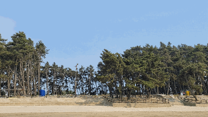 충청남도 서천군 서면 도둔리 1388 대지 경매 사진 8