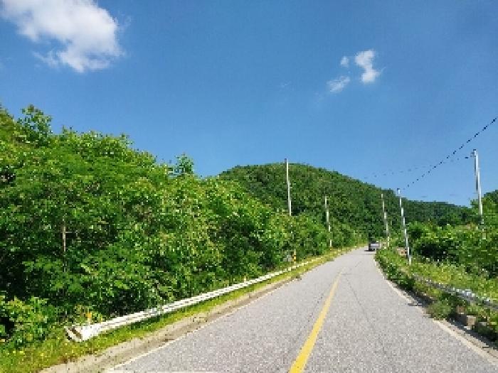 충청남도 청양군 대치면 형산리 15-1 임야 경매 사진 1