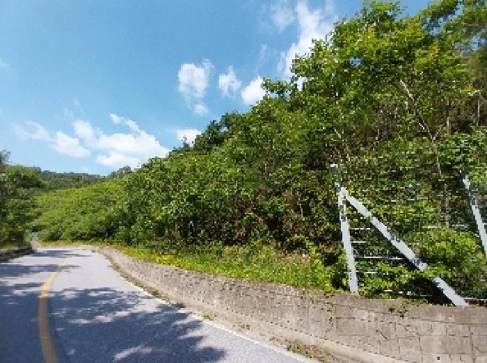 충청남도 청양군 대치면 형산리 15-1 임야 경매 사진 3