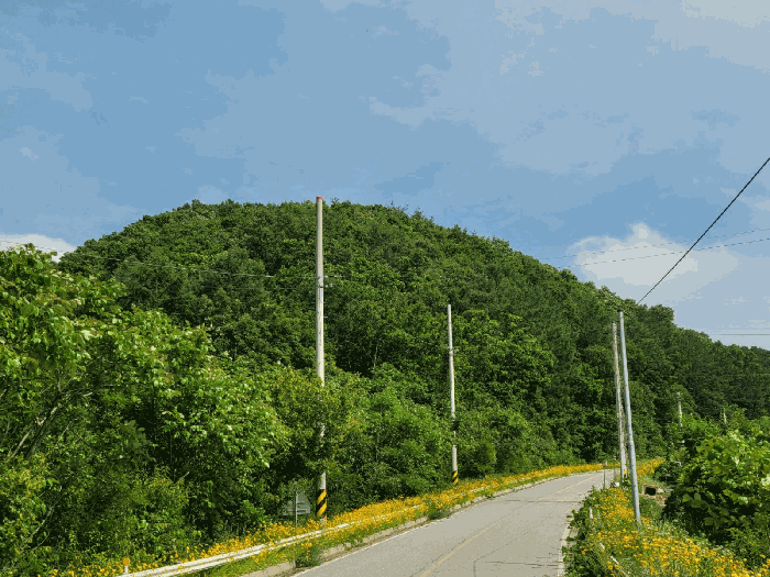 충청남도 청양군 대치면 형산리 15-1 임야 경매 사진 4