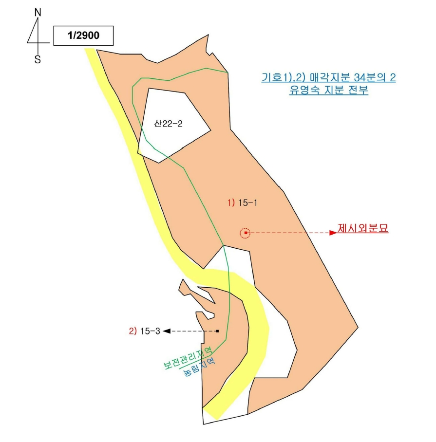 충청남도 청양군 대치면 형산리 15-1 임야 경매 사진 7