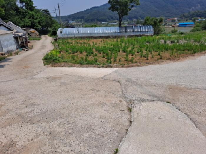 충청남도 당진시 구룡동 525 외 1필지 전 경매 사진 2