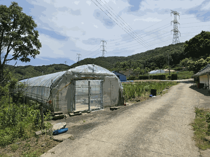 충청남도 당진시 구룡동 525 외 1필지 전 경매 사진 11
