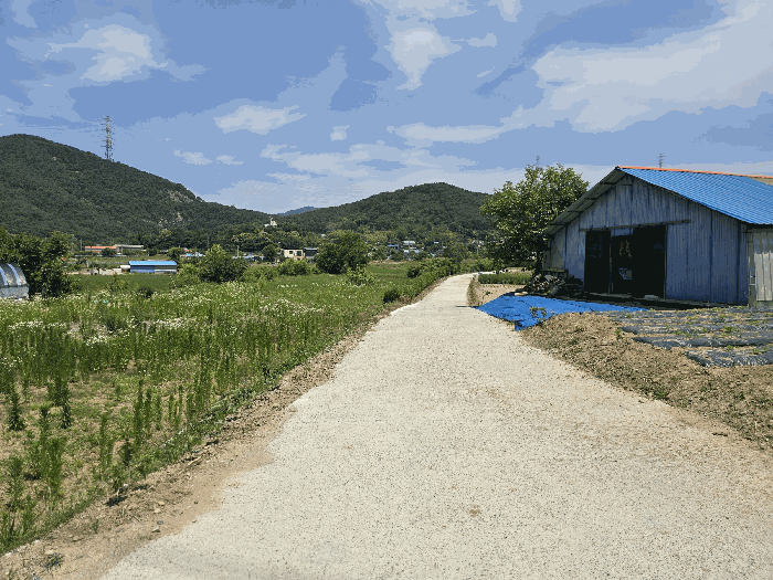 충청남도 당진시 구룡동 525 외 1필지 전 경매 사진 12