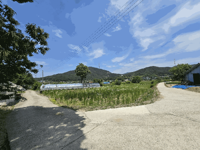 충청남도 당진시 구룡동 525 외 1필지 전 경매 사진 15