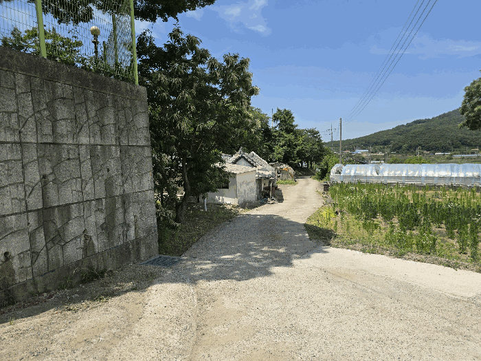 충청남도 당진시 구룡동 525 외 1필지 전 경매 사진 16