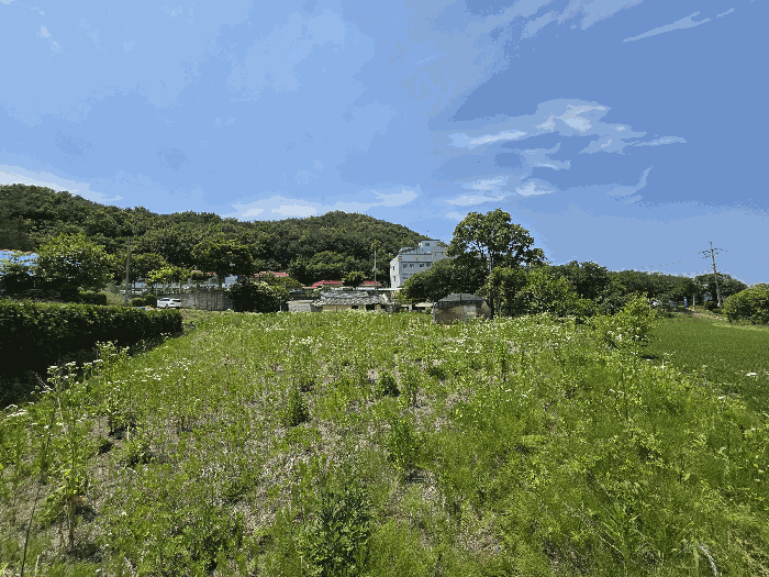 충청남도 당진시 구룡동 525 외 1필지 전 경매 사진 17