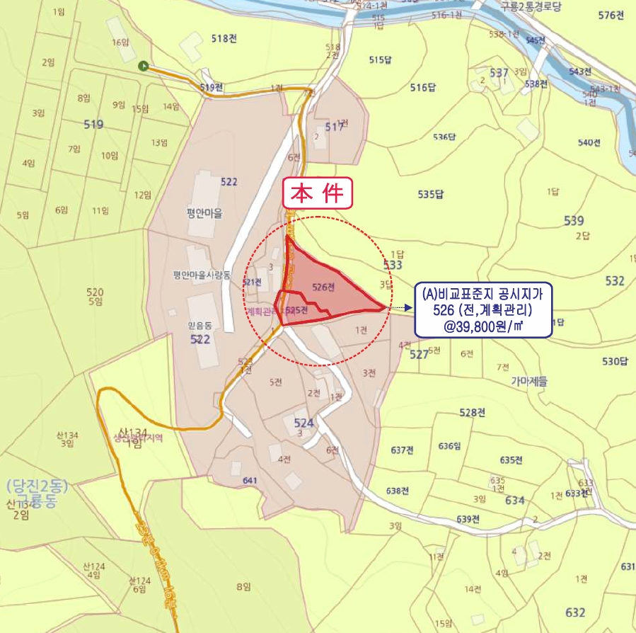 충청남도 당진시 구룡동 525 외 1필지 전 경매 사진 18