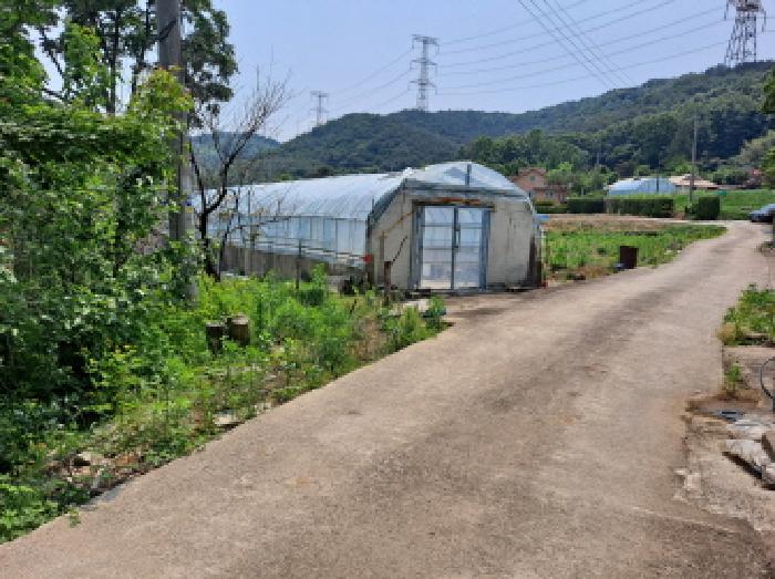 충청남도 당진시 구룡동 525 외 1필지 전 경매 사진 4