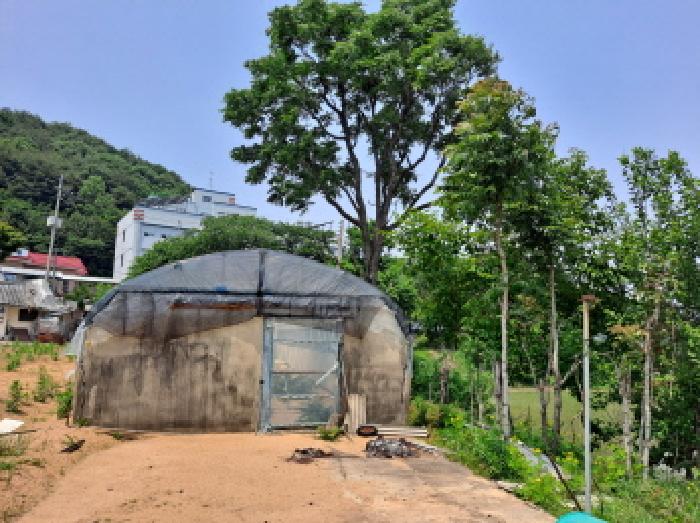 충청남도 당진시 구룡동 525 외 1필지 전 경매 사진 7