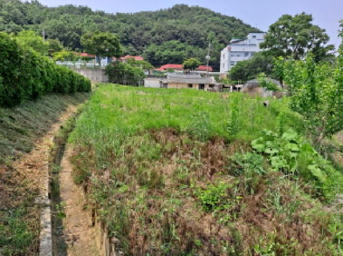 충청남도 당진시 구룡동 525 외 1필지 전 경매 사진 8