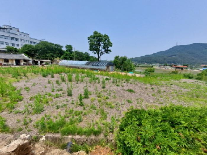 충청남도 당진시 구룡동 525 외 1필지 전 경매 사진 9