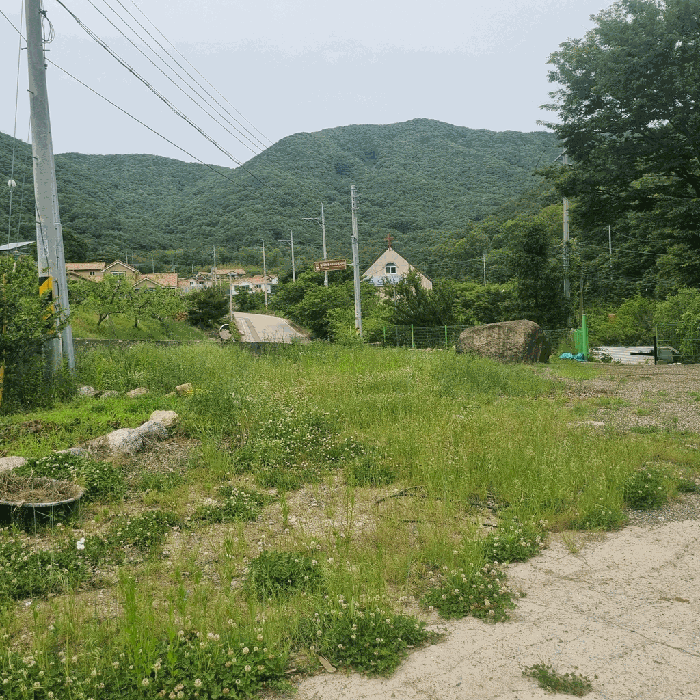 경상북도 칠곡군 북삼읍 숭오리 1387-4 전 경매 사진 15
