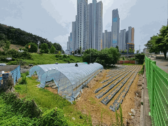 대구광역시 달성군 다사읍 매곡리 693-2 유지 경매 사진 15