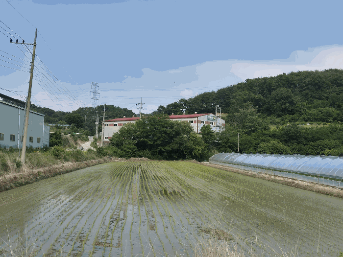경상북도 성주군 선남면 문방리 907 공장 경매 사진 68