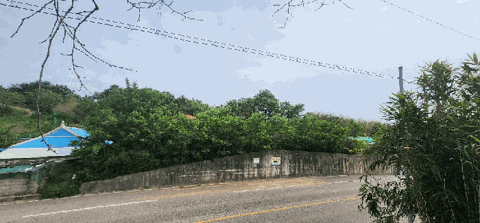 경상북도 영덕군 영해면 성내리 750-4 외 2필지 전 경매 사진 9