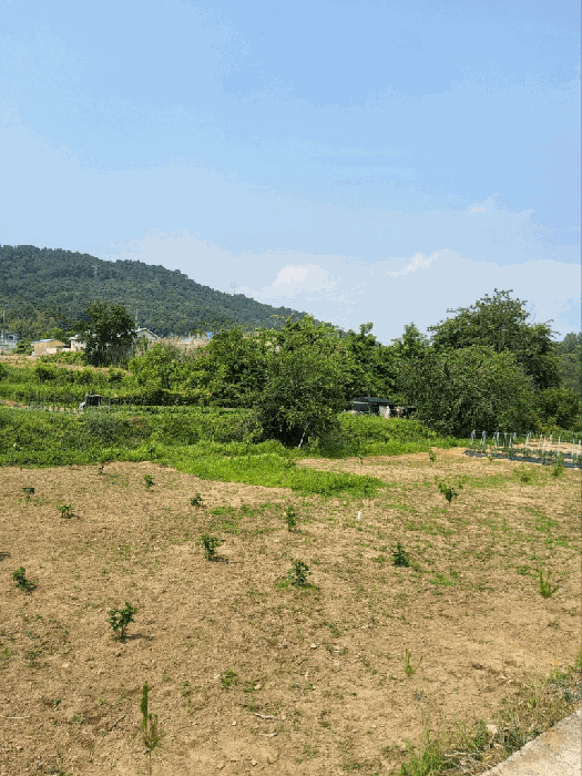 경상남도 창원시 의창구 동읍 용전리 80 전 경매 사진 3