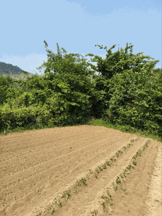 경상남도 창원시 의창구 동읍 용전리 80 전 경매 사진 5