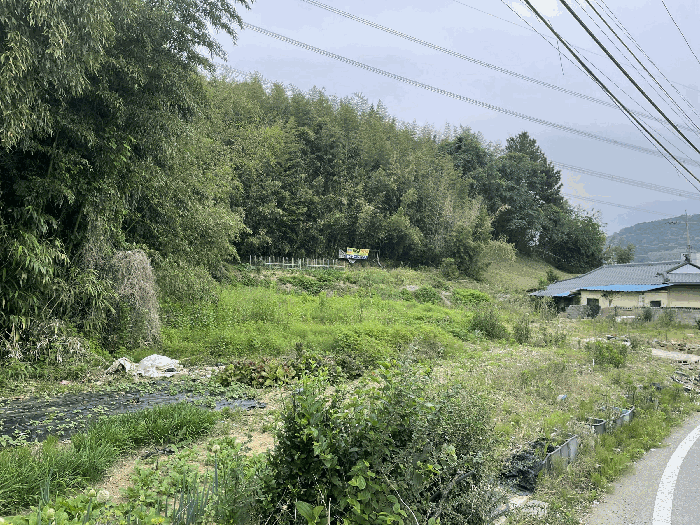 경상남도 김해시 한림면 퇴래리 1003 전 경매 사진 10