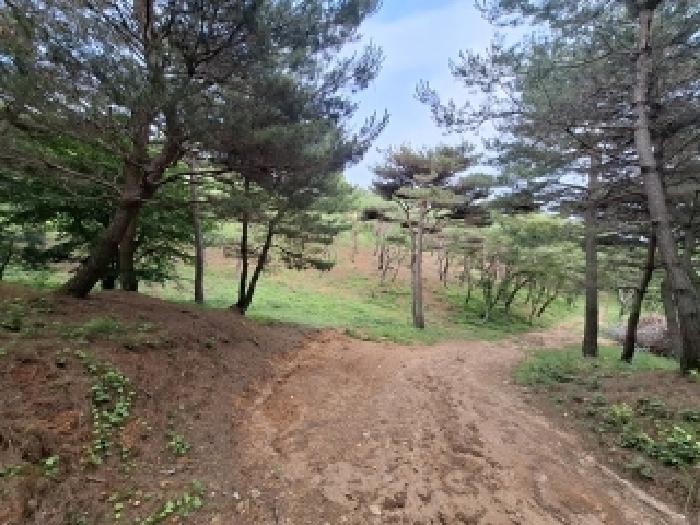 경상남도 사천시 곤명면 삼정리 산31 임야 경매 사진 27
