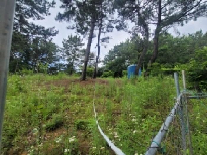 경상남도 통영시 용남면 동달리 155 외 4필지 답 경매 사진 1