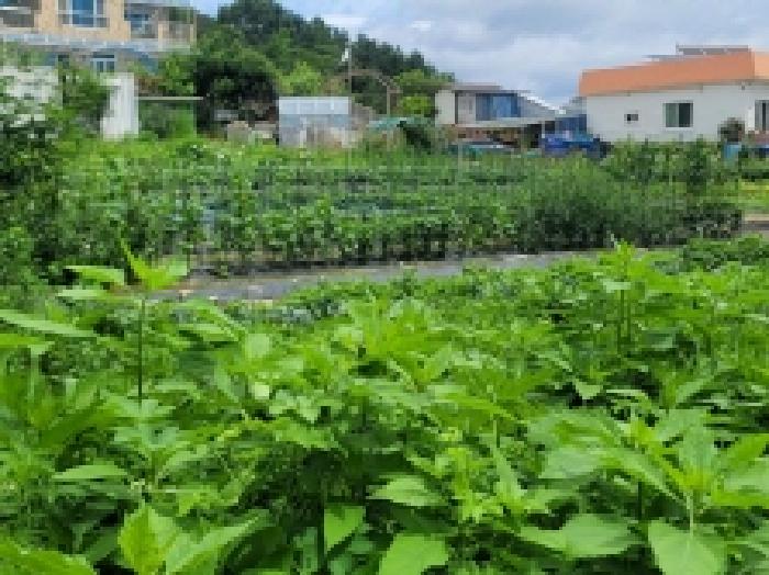 경상남도 통영시 용남면 동달리 155 외 4필지 답 경매 사진 3