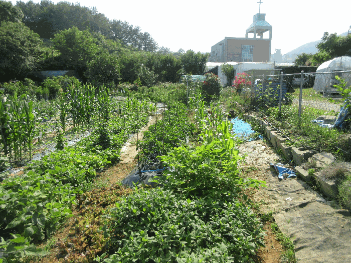 경상남도 통영시 용남면 동달리 155 외 4필지 답 경매 사진 30