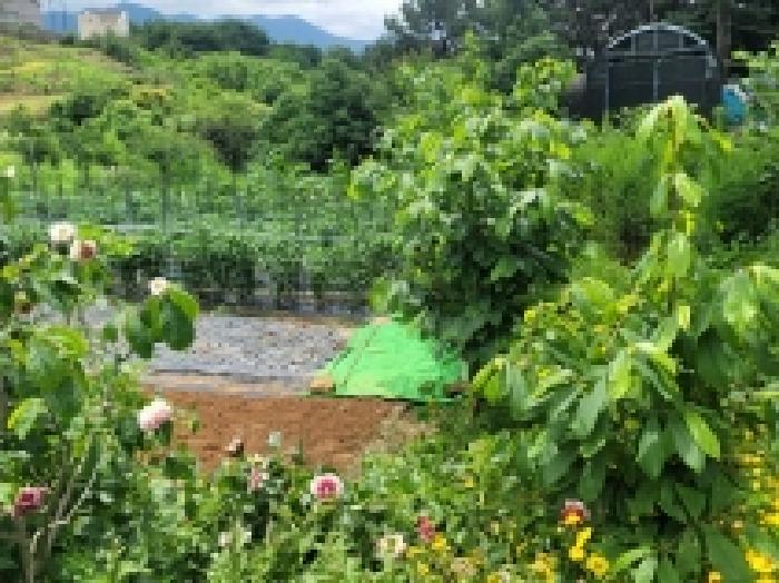 경상남도 통영시 용남면 동달리 155 외 4필지 답 경매 사진 5