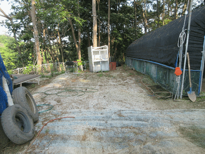 경상남도 통영시 용남면 동달리 155 외 4필지 답 경매 사진 42