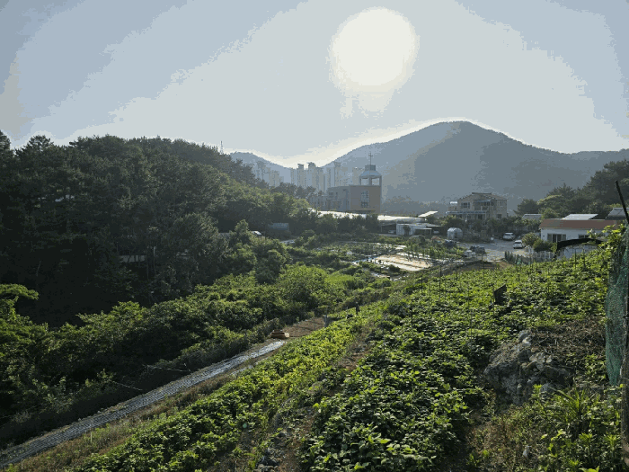경상남도 통영시 용남면 동달리 155 외 4필지 답 경매 사진 66