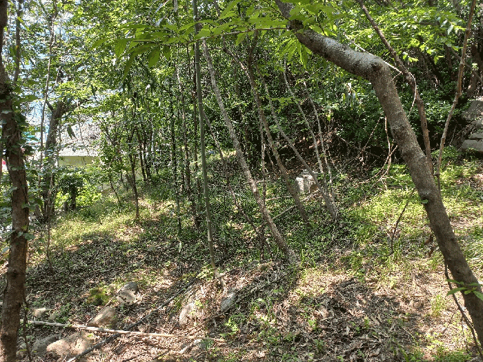 경상남도 거제시 일운면 지세포리 204 답 경매 사진 14