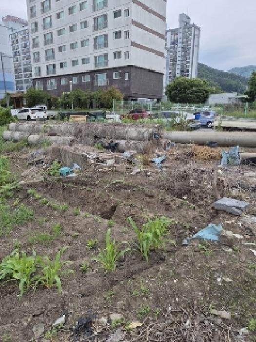 전라남도 화순군 화순읍 훈리 16-11 외 2필지 전 경매 사진 3