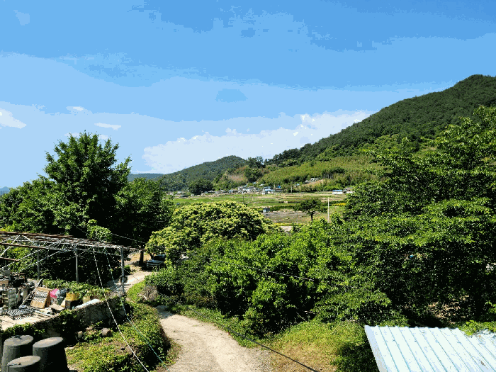 전라남도 광양시 옥룡면 용곡리 1113 외 5필지 단독주택 경매 사진 36