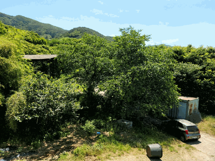 전라남도 광양시 옥룡면 용곡리 1113 외 5필지 단독주택 경매 사진 39