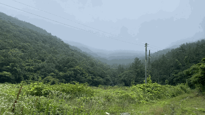 전라남도 진도군 진도읍 동외리 산74-1 임야 경매 사진 3