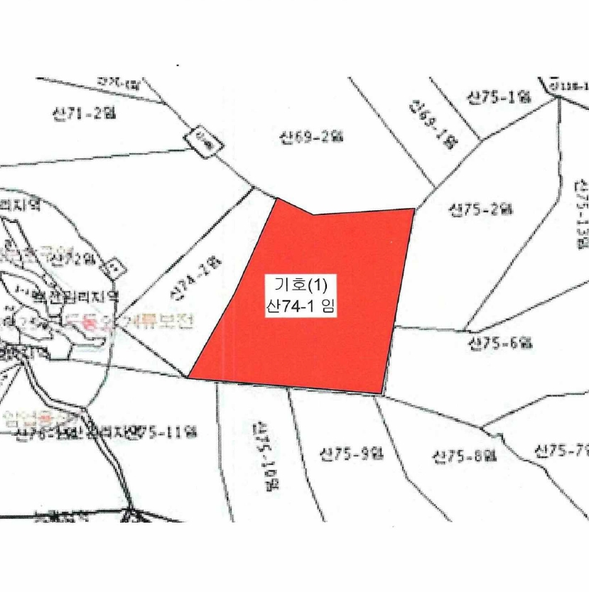 전라남도 진도군 진도읍 동외리 산74-1 임야 경매 사진 6