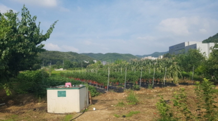경기도 안성시 원곡면 성주리 302 답 경매 사진 7