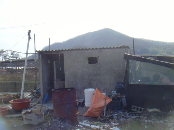 전라남도 진도군 고군면 향동리 316 외 4필지 단독주택 경매 사진 11